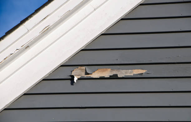 How To Choose The Right Materials for Your Siding Installation in 'Walton, KY